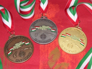 Medaillen des Bezirkes Klagenfurt